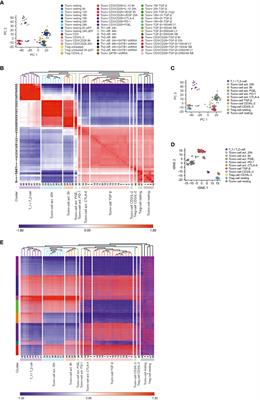 Identification of the novel FOXP3-dependent Treg cell transcription factor MEOX1 by high-dimensional analysis of human CD4+ T cells
